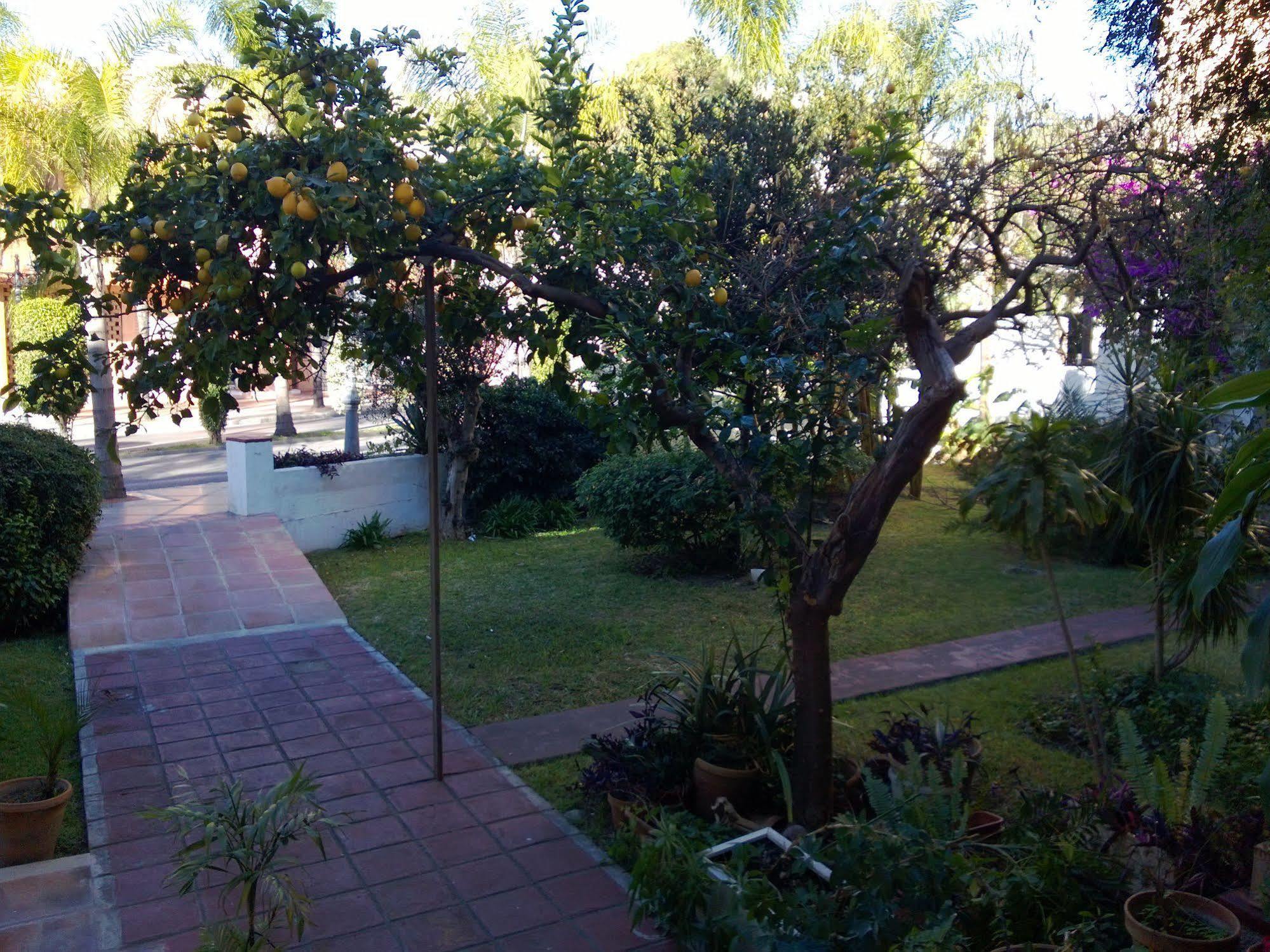 Escandinavia 2* Torremolinos